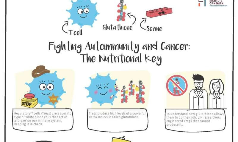 Fighting autoimmunity and cancer: The nutritional key