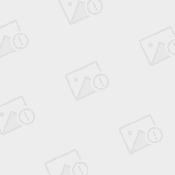 官员都在坐等出事∶“癸酉之变”与嘉庆帝的反思