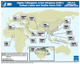 First Human Avian Influenza A (H5N1) Virus Infection Reported in Americas
