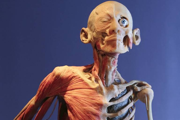 Corpo preservado de um fumante com o pulmão esquerdo a mostra na exposição "Corpo Humano: Real e Fascinante", em SP 