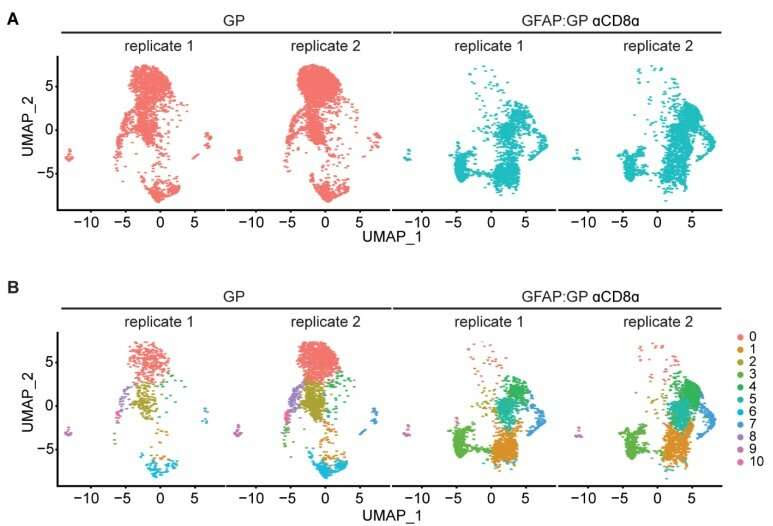 Turncoat T cells are at the core of multiple sclerosis and other inflammatory central nervous system disorders