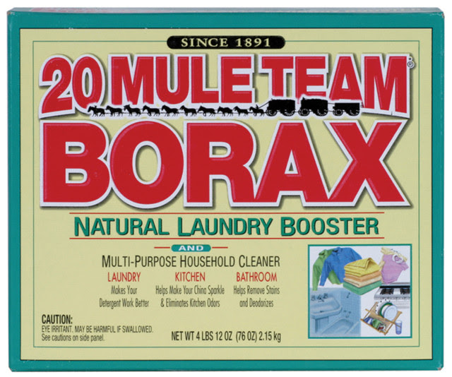 15 DIY Uses For Borax — Detox, Remove Fluoride From Water, Kill Mycoplasma And Pathogens, And More