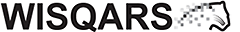 logo_wisqars_232x32_b.png WISQARS Logo