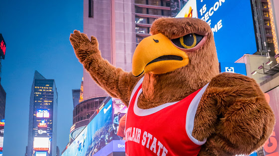 Rocky the Red Hawk in New York City
