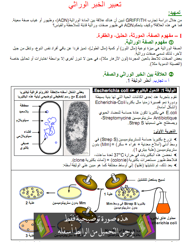 درس تعبير الخبر الوراثي – علوم الحياة والأرض – الثانية باكالوريا علوم الحياة والأرض Taabir-alkhabar-alwirati1