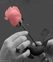 تشکر کردن