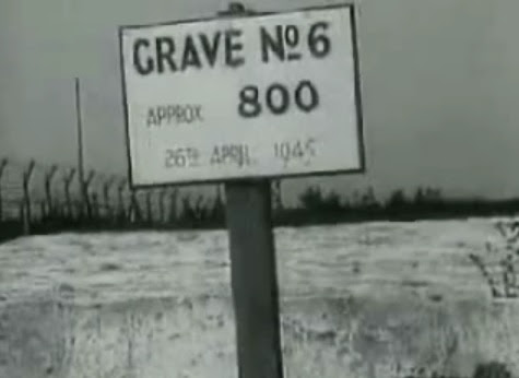 Alleged                   mass grave in Bergen Belsen N&ordm; 6 with about 800 deads