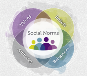 Relationships between social norms and violence