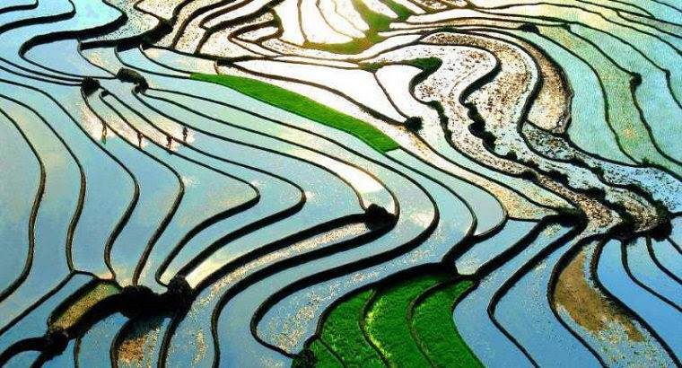 Randonnée Sapa 5 Jours Randonnée Sapa 5 Jours