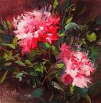 Ruby Tango Peonies - Posted on Monday, January 5, 2015 by Nancy Medina