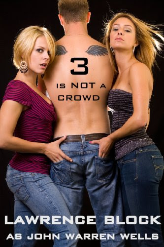 3 is Not a Crowd ebook cover