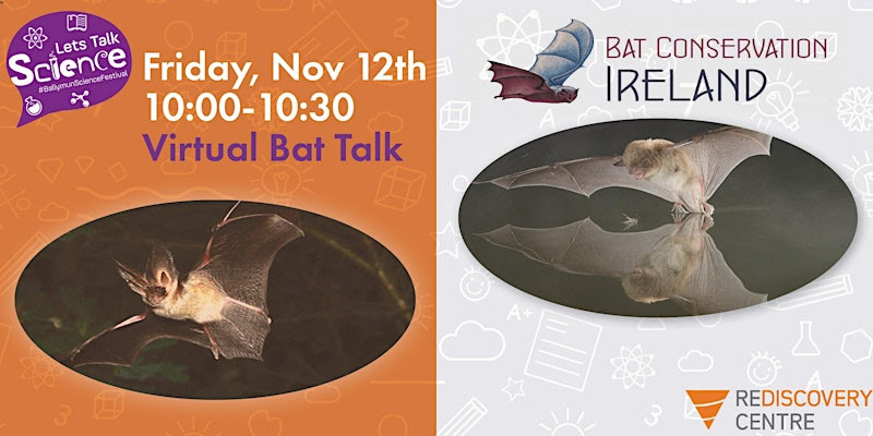 Let's Talk Science 2021 - Let's Talk Bats!