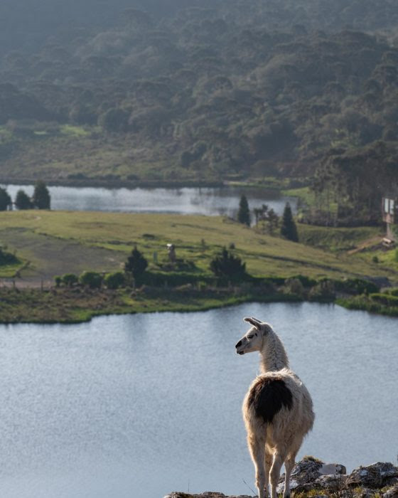 Impossibilidade de viajar de avião aumentam demanda no turismo regional