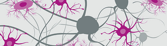 Purple neurons