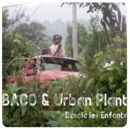 Baco & Urban Plant
