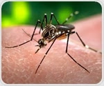Researchers find link between genetic molecules in mosquitos and dengue fever