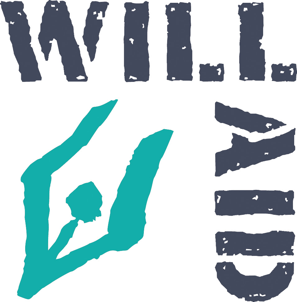 Solicitors remain most popular choice for wills