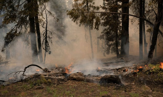 Fire tornadoes, haze, clouds: US blazes create their own weather systems