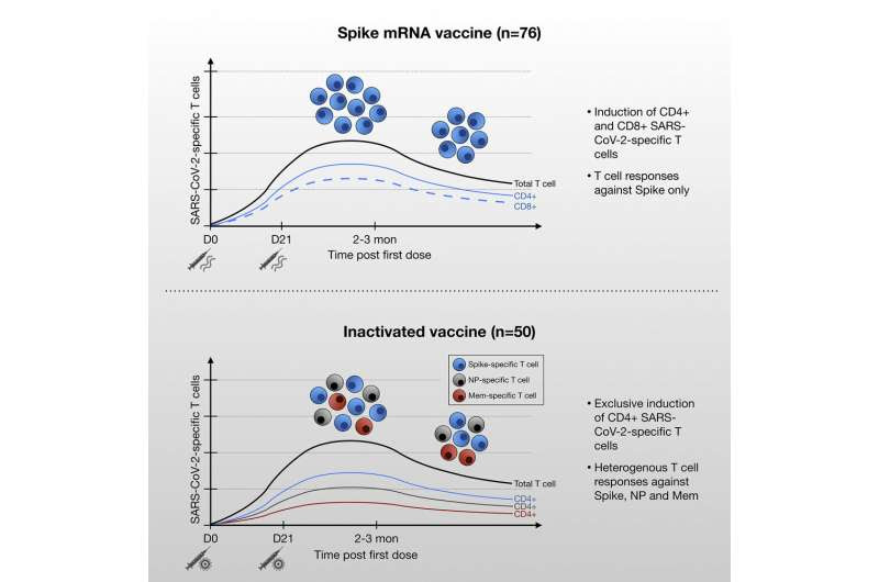 Inactivated SARS-CoV-2 and spike mRNA vaccines trigger different T-cell responses