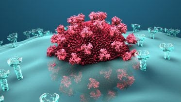 Virus Infects Body Cell Illustration