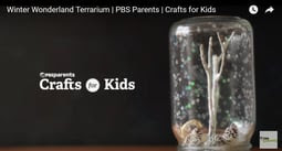 Picture of Winter Wonderland Terrarium from PBS Parents. Link takes you to PBS arts and crafts page.