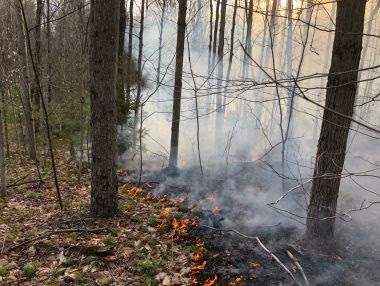 smoke from a brush fire in a wooded area