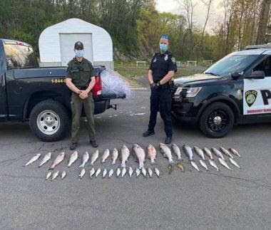 ECO and local law enforcement officer stand with fish lined up on the pavement in front of them