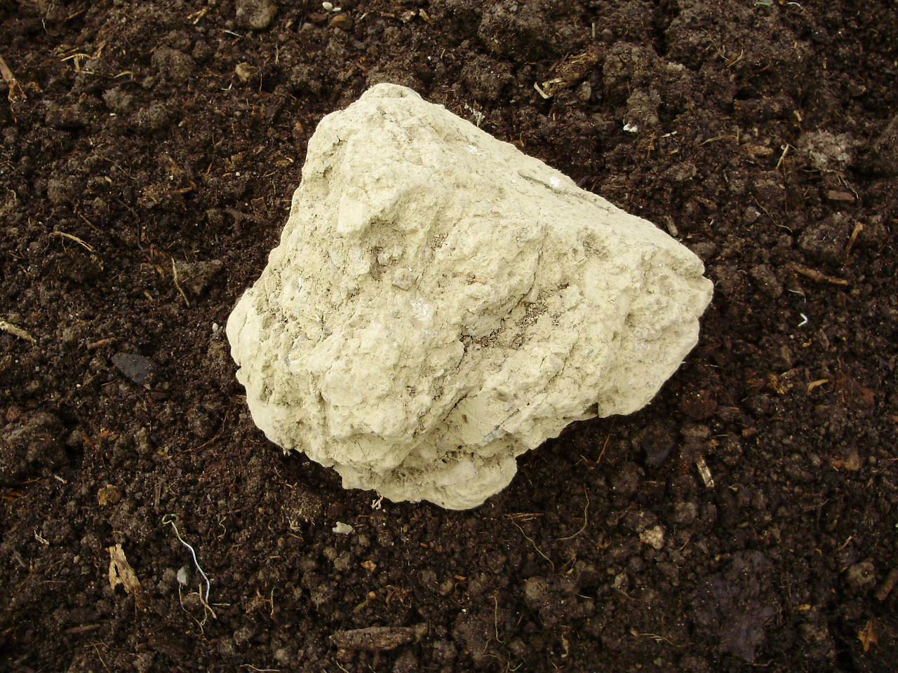 A lump of that soil sitting on my soil now!