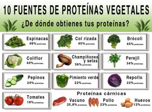 proteina vegetal